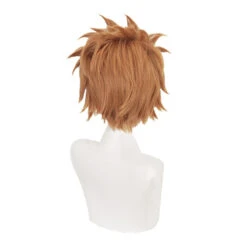 Anime My Hero Academia Wing Hero Hawks Keigo Takami Short Brown Cosplay Wigs 10 Anime My Hero Academia Wing Hero Hawks Keigo Takami Short Brown Cosplay Wigs -Cosplay 16967730247 1400667367