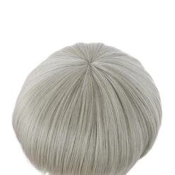 Anime Jujutsu Kaisen Toge Inumaki Short Grey Cosplay Wigs -Cosplay 1 f8e6823f 84a6 4218 9481 3f4b14e7340c